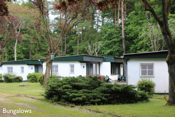 Meeressterne Ferienresort Damerow Koserow Exterior foto